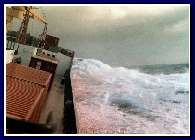albula_113-gr-atlantic.png