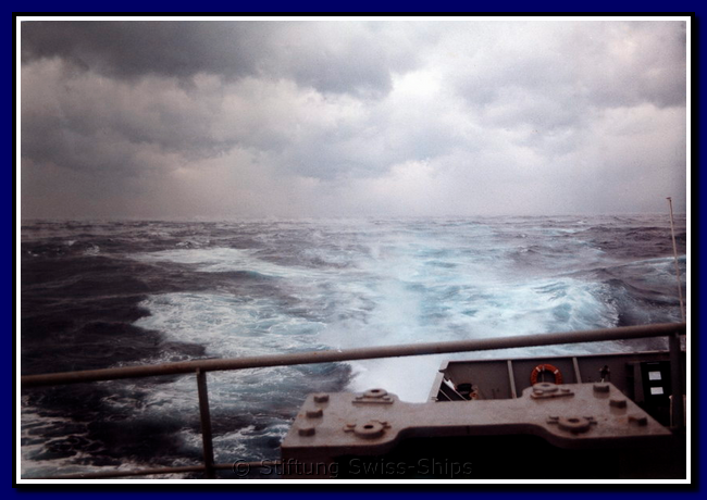 albula_113-gr-cape-hatteras-002.png