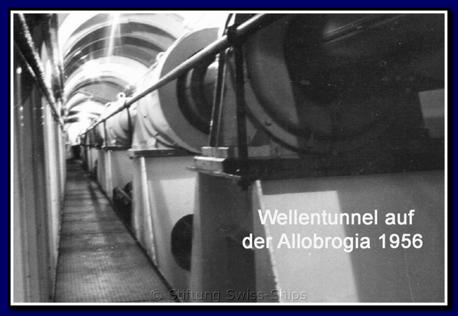 allobrogia_043-detail-006-gr.png