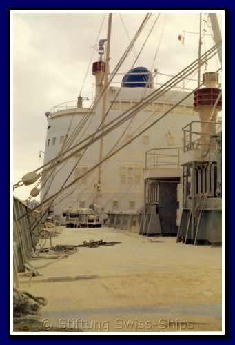 allobrogia_043-detail-013-gr.png