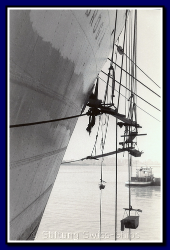 allobrogia_043-detail-015-gr.png