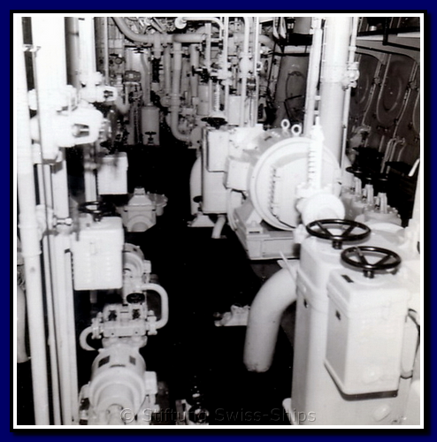 allobrogia_043-detail-028-gr.png