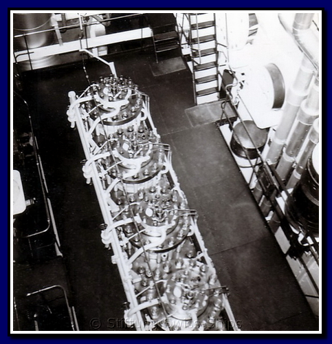 allobrogia_043-detail-031-gr.png