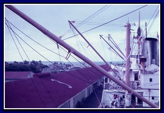 allobrogia_043-detail-047-gr.png
