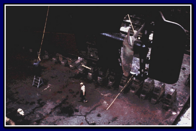 HBDM_275-gr.png