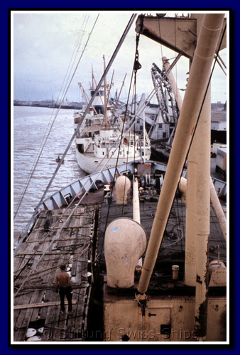 HBDM_289-gr.png
