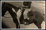 Bild-022-gr.png