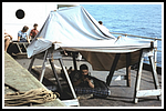 HBDM_147-gr.png