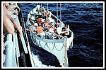 HBDM_272-gr.png