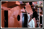 HBDM_278-gr.png