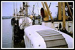 HBDM_281-gr.png