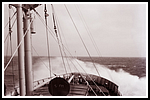 1951.008.png