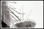 1951.032.png
