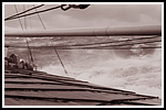 1951.034.png