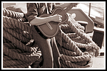 1951.142.png