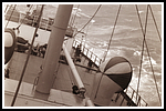 1951.166.png
