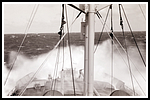1952.006.png