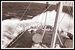 1952.007.png