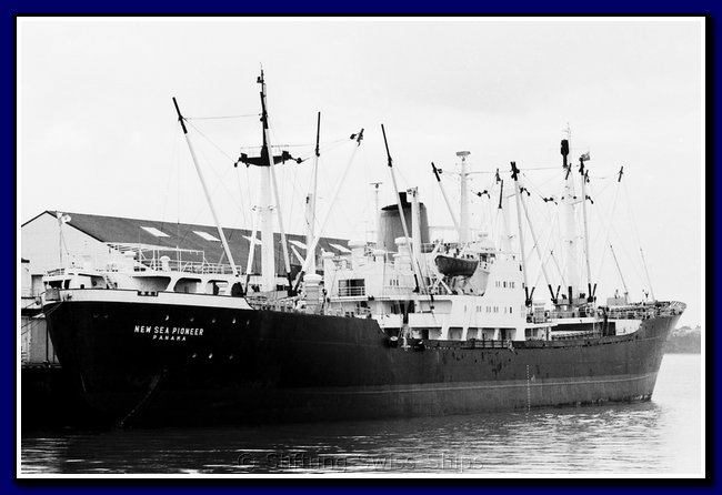 new-sea-pioneer_3EBK-002-gr.png