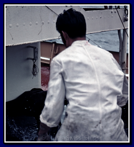 0005 Taufe Basilea 1956.png