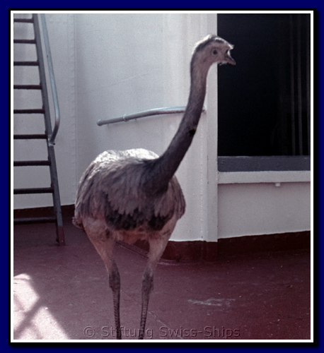 0032 Basilea 1957.png