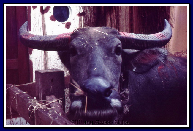 basilea_048-bordaufnamen-018-gr.png