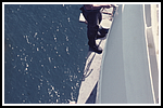 0079 Basilea.png