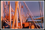 basilea-im-eis-gr.png