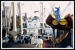 basilea_048-014-gr-h-clenin.png