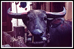 basilea_048-bordaufnamen-018-gr.png
