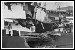 basilea_048-coll-kaunas-73-10-21-003-gr.png