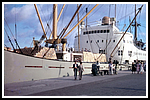 basilea_048-detailaufname-019-gr.png