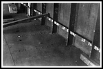 basilea_048-voirol-bau-018-gr-luke.png