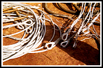 bs-bieri-(30).png