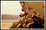 bs-bieri-(33).png