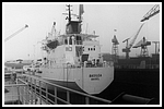 basilea_103-002-dock-gr.png