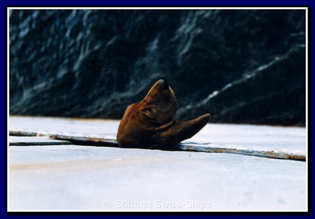 calanda_073-th-egli-bild30.png