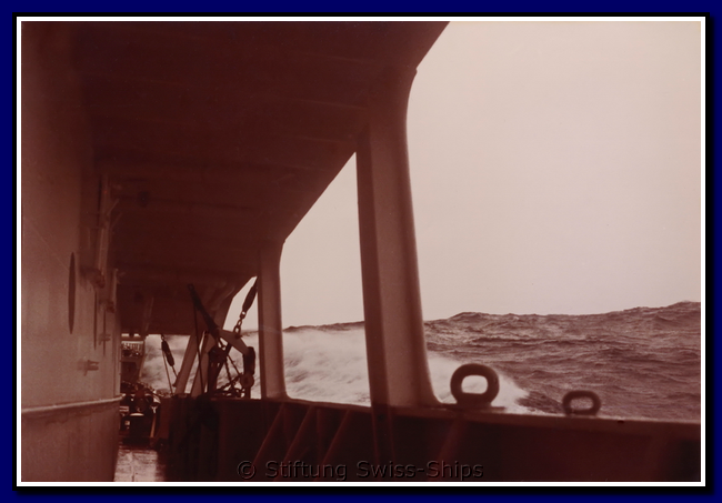 caribia-seegang-025.png