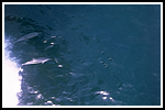 corviglia_058-detail-115.png