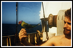 corviglia_058-detail-193.png