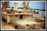 corviglia_058-detail-208.png