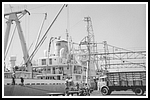 pak-002-gr-(1).png