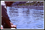 pak-058-st-lawrence-gr.png