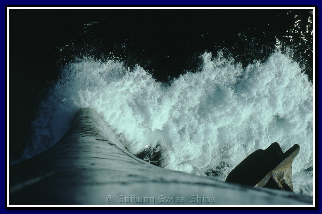 0019865 Davos-divphoto.png