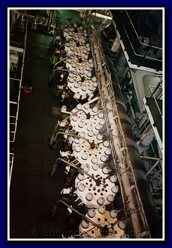 diavolezza_135-004-gr.png
