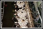 diavolezza_135-004-gr.png