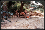 favorita_108-ausflug-lifeboat-004-gr.png