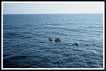 pgl_0225-gr.png