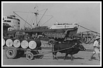 general-guisan_018-detail-099b-gr.png