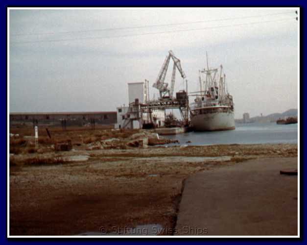0021032 helvetia-hps-gr.png